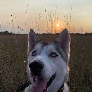 Meet your Posher, Isabella